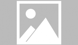 邪恶小岛漫画,诡谲迷雾中的生存之战